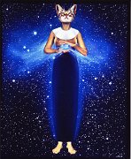Cosmic Cat